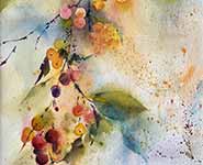 Winter Crab apples
