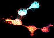 An artist's impression of O2 'intercepting' the beta-hydroxy vinyl (BHV) radical. The hot orange colours represent non-equilibrium quantum states, while the cooler blue colours represent equilibrium quantum states.