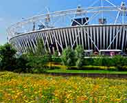 The Olympic Park