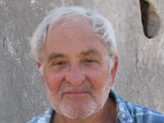 Professor John Steeds