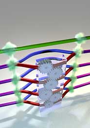 The device for iterative quantum phase estimation