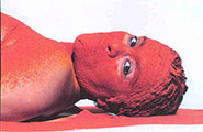 The book's cover features 'Untitled' (1998), a hand-painted colour photograph from the 'Colour Me' series by the South African artist Berni Searle