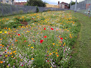 City Academy Meadow, Bristol