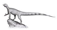 Thecodontosaurus antiquus