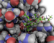 Structures from QM/MM modelling of enzyme-catalysed reactions
