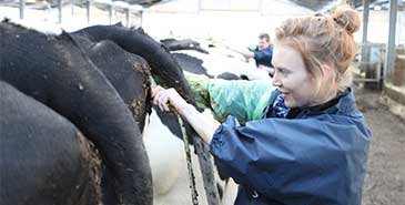 Veterinary students attending the Farm Annual Veterinary Society’s 2014 congress at Wyndhurst Farm
