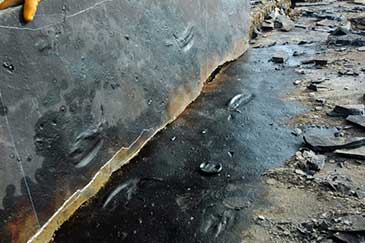 Photograph taken within minutes of uncovering a new trackway, showing the imprint moulds on the overlying bed bottom (base of bed 108), and the imprints on the top of bed 107.