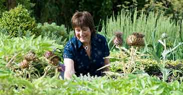Jekka McVicar, new President of the Friends of the University of Bristol Botanic Garden