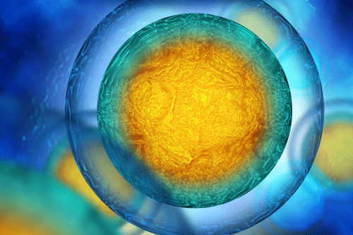 Generic image illustrating human fertility