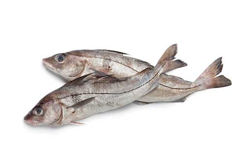 Image of some haddock