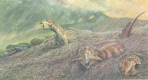 Artist’s impression of Psittacosaurs 