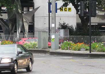 Planters on the Bear Pit