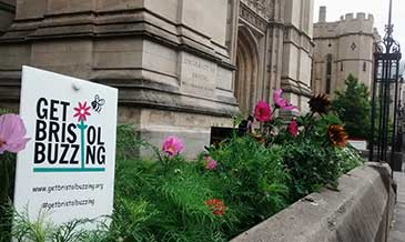 Planter outside Wills Memorial Building