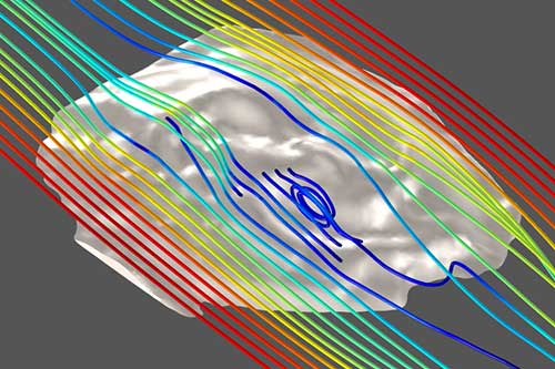 Image of a computer simulation of water flow around a 3-D model of Tribrachidium