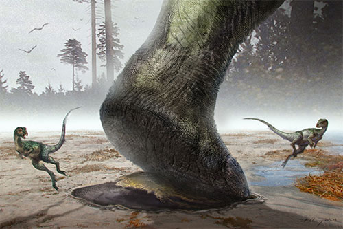 Sauropod swimmers or walkers?