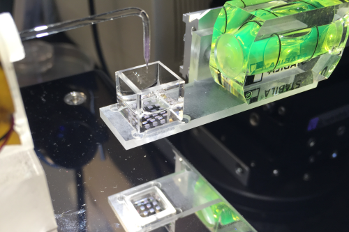 August 3d Printing Of Living Artificial Tissues News And Features University Of Bristol