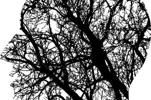 Generic image illustrating brain's cellular network
