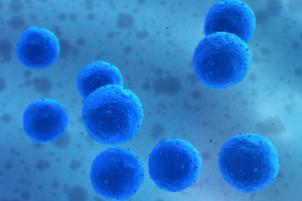 Generic image of stem cells