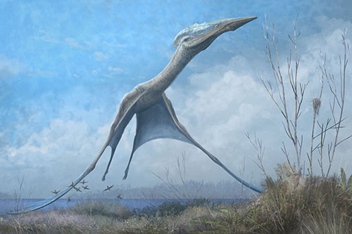 Newswise: 28%20Oct%20pterosaurs%20Witton%202019%20-%20article.jpg