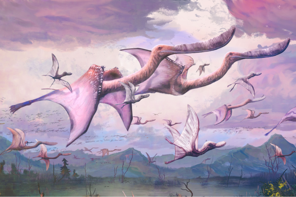 July: Pterosaurs parents, News and features