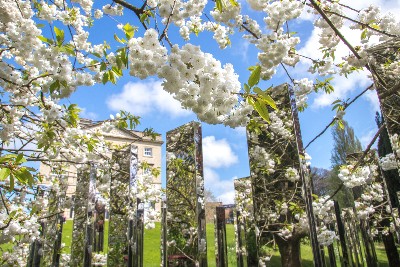 University garden declared as one of UK’s top green spaces –  – University of Bristol – All news