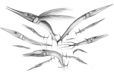 Triassic revolution: animals grew back faster and smarter after mass extinction – – University of Bristol – All news