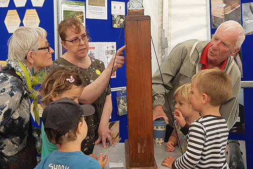 Visitors at a previous Bee and Pollination Festival exhibit