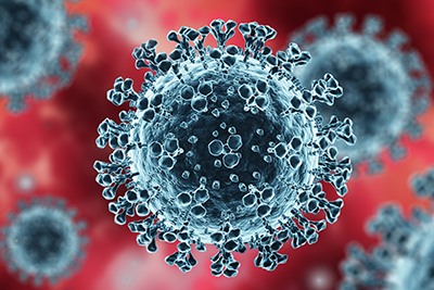 Dose matters: HIV drug could prevent coronaviruses, study finds –  – University of Bristol – All news