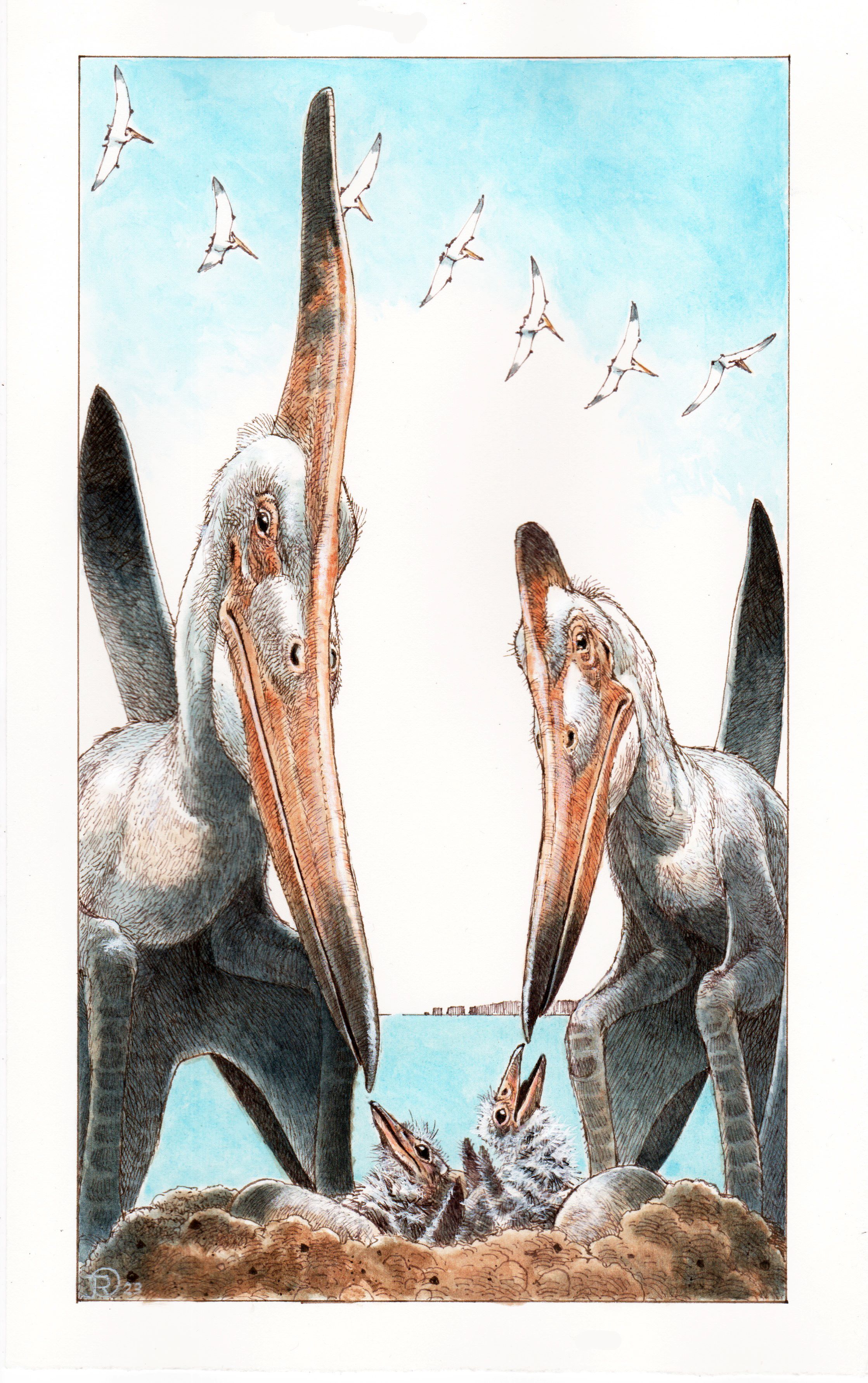 Pteranodon vs Pterodactyl, Some birds, some pterosaurs (which is