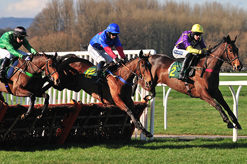 Horses jumping over a hurdle in a jump race at Bangor