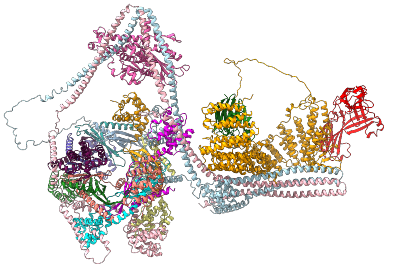 Artificial intelligence provides new insight into preventing human disease –  – University of Bristol – All news