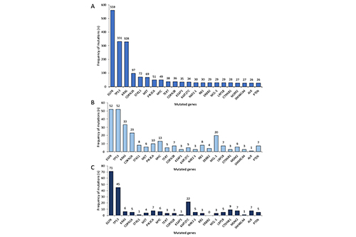 A graph showing commonly mutated genes. A is all patients (blue); B is smokers (light blue); C is non-smokers (dark blue)