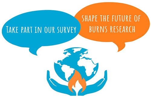 Priorities in Global Burns Research logo