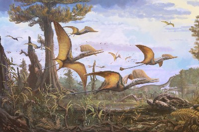 New species of Jurassic pterosaur discovered on the Isle of Skye –  – University of Bristol – All news