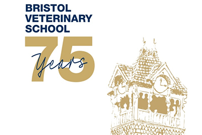 Bristol Veterinary School celebrates 75 years of educating veterinary students and advancing animal health and wellbeing –  – University of Bristol – All news