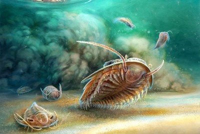 ‘Prehistoric Pompeii’ – Trilobites killed by volcanic ash reveal features never seen before – – University of Bristol – All news