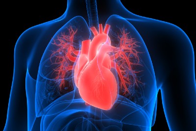 New intervention to protect lungs during cardiac surgery, feasible, safe, and effective, study finds – – University of Bristol – All news