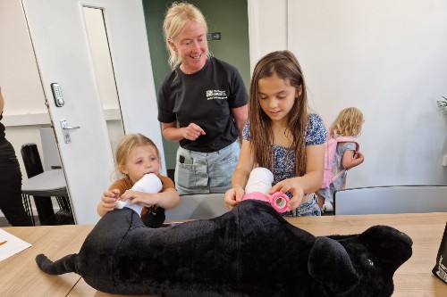 Pet care drop in session.