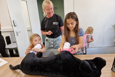 Pet care drop in session.