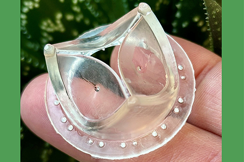 SEBS polymer artificial heart valve prototype