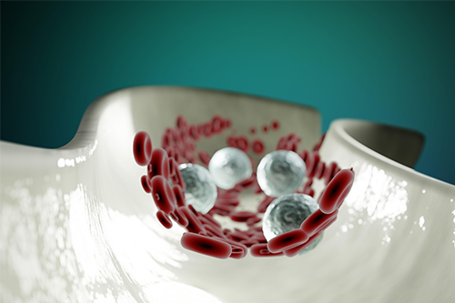 Blood cells