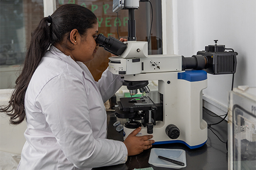 Thamali Kariyawasam in a lab in Sri Lanka