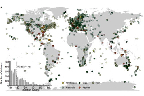 February: Global analysis of wildlife decline warns conservation action must be coordinate | News and features
