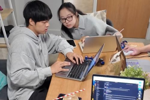 Members of the graduate team working on a laptop