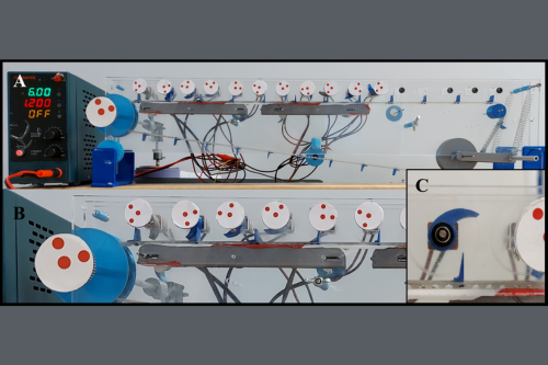 March: Researchers discover way for motors to mimic real muscles | News and features