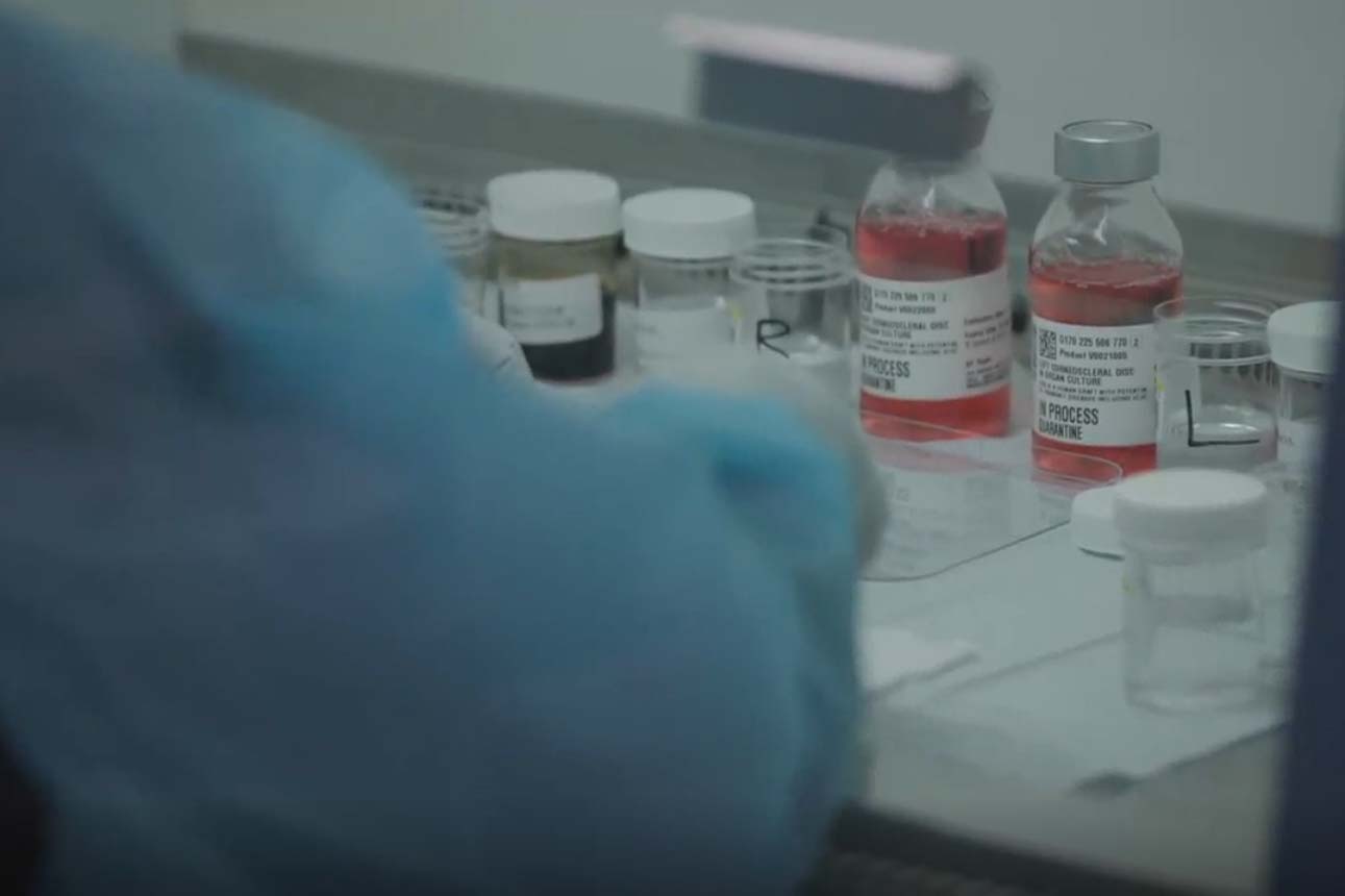 A researcher in the lab