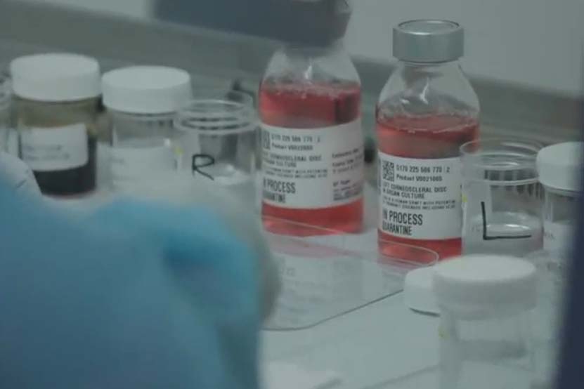 A researcher in the lab