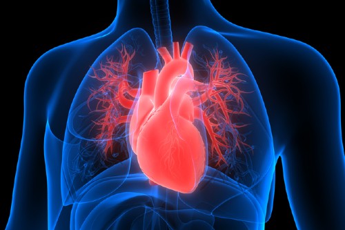 March: glp-1-drugs | News and features March: glp-1-drugs | News and features