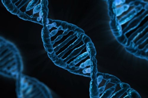 Ilustração de uma dupla hélice de DNA diante de perfis humanos coloridos