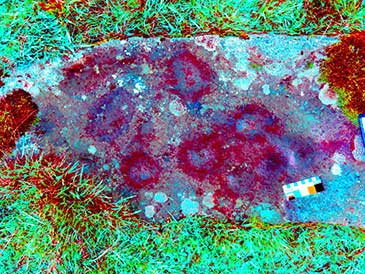 D-stretch image of the central section of the stone showing clearly the cupmarked surface (image G.H. Nash)